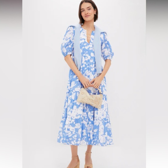Tuckernuck Dresses & Skirts - HYACINTH HOUSE Blue and White Floral Cisco Maxi Dress size small new with tags